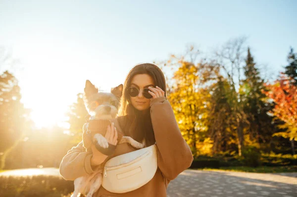Vacker Kvinna Med Hund Armarna Parken Bakgrund Solnedgången Poserar För — Stockfoto