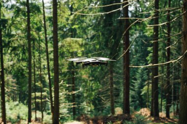 Drone, güneşli bir yaz gününde, dağ ormanlarındaki kozalaklı ağaçların arka planında uçar. Ormanda İHA 'yı çekerken..