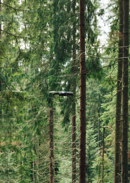 Drone Para Vídeo Foto Tiro Voa Uma Floresta Coníferas Nas — Fotografia de Stock