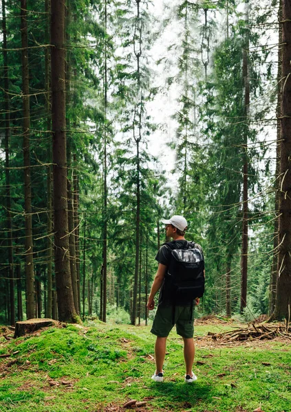 Foto Vertical Del Hombre Con Una Mochila Espalda Pie Bosque —  Fotos de Stock