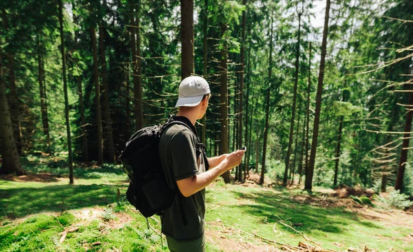 普段着の若者の背中は 晴れた針葉樹林の中にスマートフォンを手に立ち ハイキングに残り スマートフォンでインターネットを使用しています — ストック写真