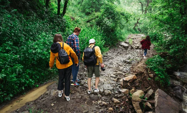 Bir Grup Genç Yürüyüşçü Bir Dere Kenarındaki Dağlarda Bir Orman — Stok fotoğraf