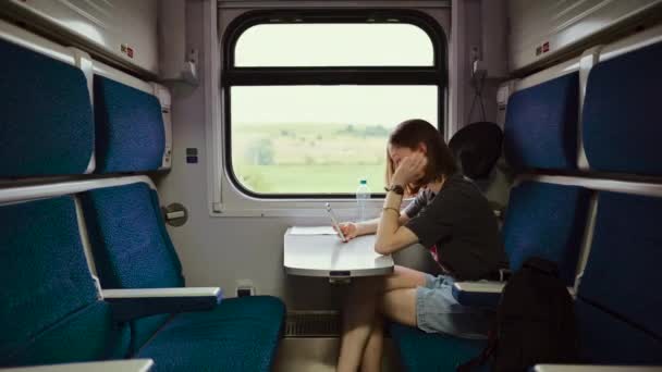 Glada Attraktiv Kvinna Kommunicerar Ett Videosamtal Ett Tåg När Reser — Stockvideo