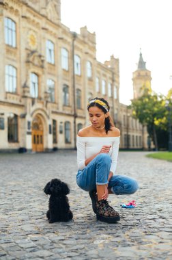 Güzel bir manzaranın arka planında parktaki kaldırım taşlarının üzerinde tatlı siyah bir köpekle oynayan bir kaniş oyuncağı..