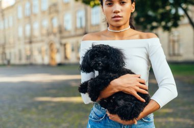 Şirin bir köpeğin, sevimli bir kadının kollarında oyuncak bir kanişin, kameraya bakan bir evcil hayvanın yakın fotoğrafı. Sahibi kollarında bir köpek taşıyor..