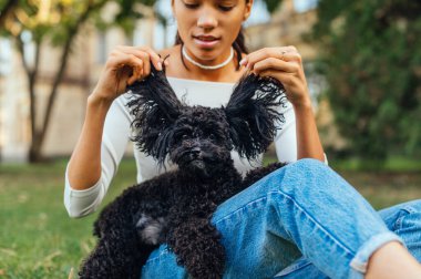 Bir evcil hayvanla çimenlerde oturan ve yüzünde gülümseme olan komik küçük bir köpekle eğlenen, yürüyüşe çıkmış bir köpekle oynayan pozitif bir kadın..