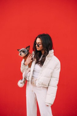 Beyaz bir köpek sahibinin dikey portresi. Güneş gözlüğü ve beyaz bir ceket takıyor. Kırmızı arka planda küçük evcil hayvanı York Teriyeri 'ne sarılıyor..