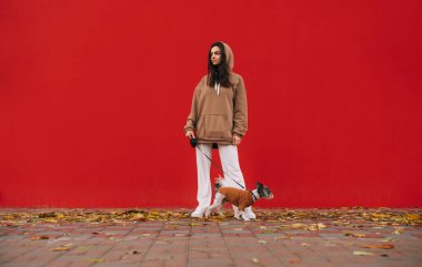 Süslü kapüşonlu çekici bayan köpek sahibi kırmızı duvarın önünde elinde bir fotokopi aletiyle teriyerinin tasmasını tutuyor..