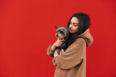 Çekici köpek sahibi dişi, izole edilmiş kırmızı bir arka planda poz veriyor, sevimli arkadaşı Yorkshire Teriyeri 'ni tutuyor..