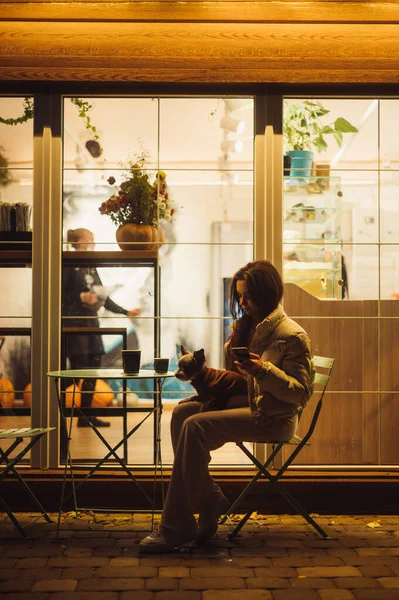 彼女の小さな友人と女性の犬の所有者の居心地の良い垂直写真 夜にカフェの近くのテラスに座って ヨークのテリア 会場の窓から落ちる人工光 — ストック写真