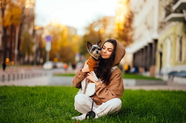 Happy Beautiful Woman Holding Her Cute York Terrier Sitting Green — Stock Photo, Image