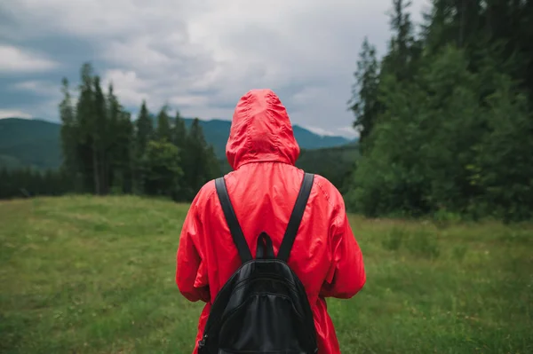 Person in the red raincoat and backpack stands in the mountains in the mountain valley, the view from the back. Girl tourist walks the mountains on a cloudy day.