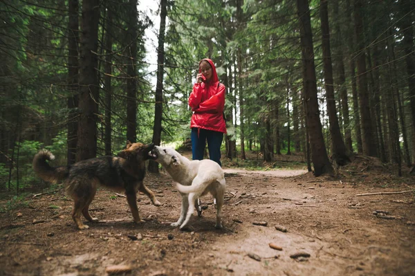 Wanita Pendaki Dalam Mantel Hujan Perut Berdiri Jalan Hutan Dan — Stok Foto