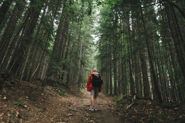 Hiker Man Backpack Raincoat Climbing Mountain Walking Forest Path Rear — Stock Photo, Image