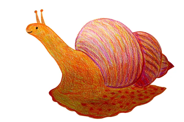 귀여운 달팽이를 다듬고 있습니다 색연필 그림으로 — 스톡 사진
