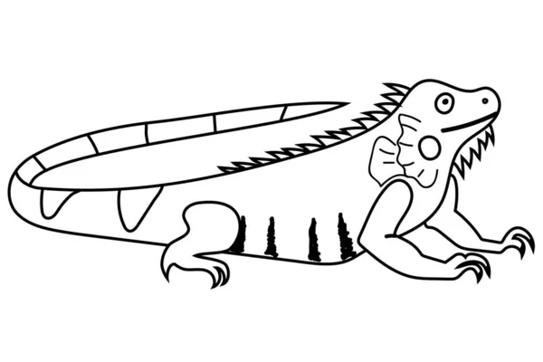 Ilustração Iguana Para Colorir Livro Atividade Para Crianças — Vetor de Stock
