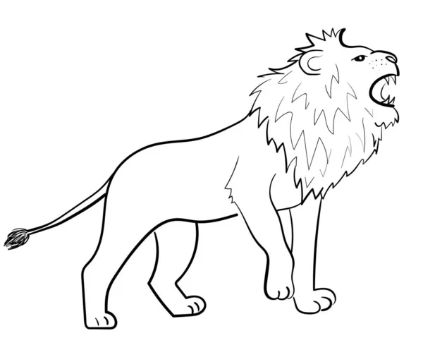 Lion Africain Animal Sauvage Illustration Vectorielle Noir Blanc Pour Livre — Image vectorielle