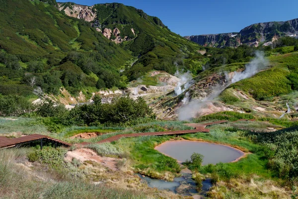 Vallée des Geysers — Photo