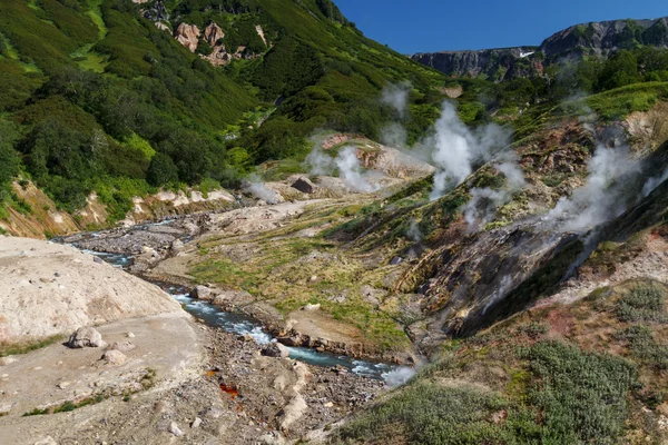 Valley of Geysers — Stock Photo, Image