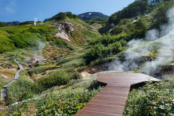 Valley of Geysers Stock Photo