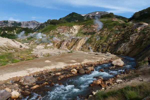 Valley of Geysers Stock Picture