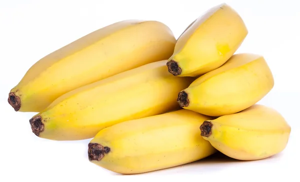 Bananenstaude — Stockfoto