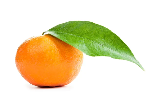 Mogen tangerine — Stockfoto