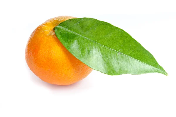 Mandarina madura —  Fotos de Stock