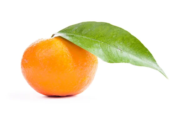 Mogen tangerine — Stockfoto