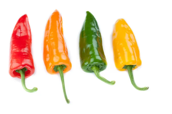Long pepper — Stock Photo, Image
