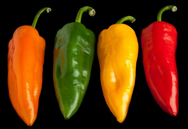 Lång paprika — Stockfoto