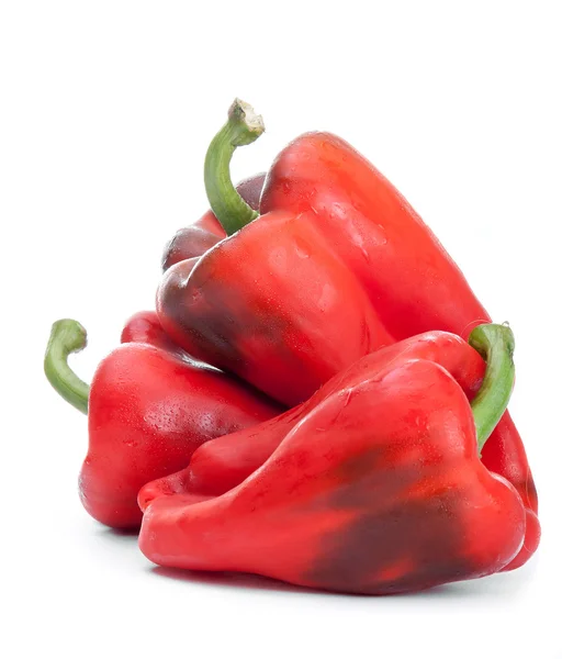 Paprika — Stockfoto