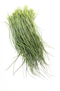 güzel yeşil soğan