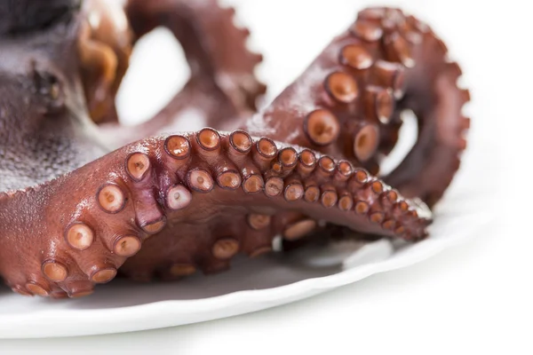 Beautiful boiled octopus — Stock Photo, Image