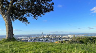 Auckland şehrinin en iyi manzarası Cennet Dağı 'nın zirvesinden yükselişte.
