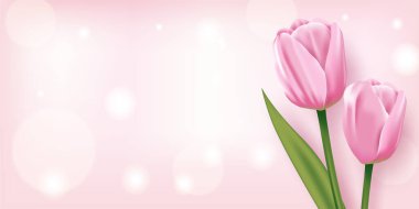 Pembe Arkaplanda Güzel Pembe laleler, Vektör