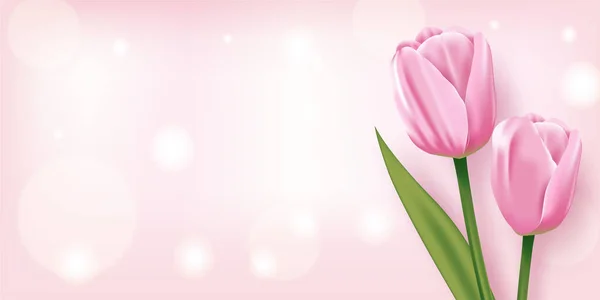Hermosos Tulipanes Rosados Sobre Fondo Rosado Vector — Vector de stock