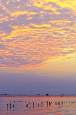 Deniz kıyısındaki Bang Tabun Phetchaburi Eyaleti, Tayland