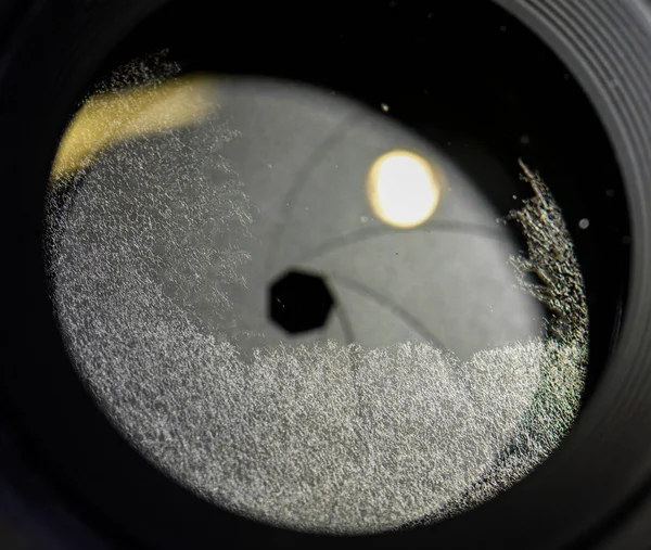 玻璃相机镜头上的近视或巨菌 — 图库照片