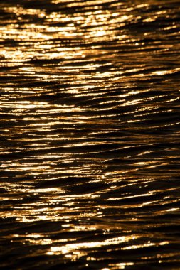 Altın deniz suyu yüzeyi güneş ışığını yansıtıyor.