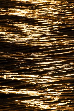 Altın deniz suyu yüzeyi güneş ışığını yansıtıyor.