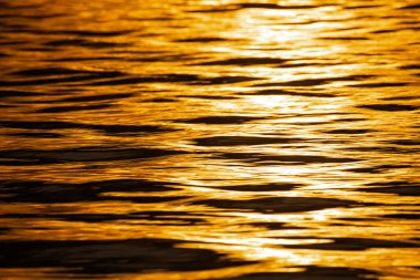 Altın deniz suyu yüzeyi güneş ışığını yansıtıyor.