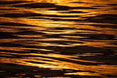 Altın deniz suyu yüzeyi güneş ışığını yansıtıyor.