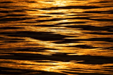 Altın deniz suyu yüzeyi güneş ışığını yansıtıyor.