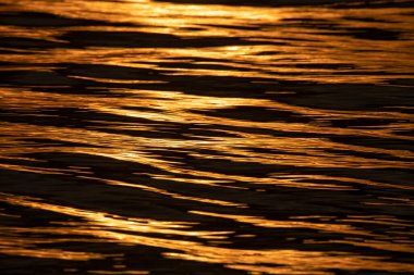 Altın deniz suyu yüzeyi güneş ışığını yansıtıyor.