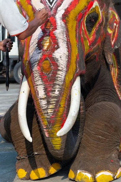 Painted Elephant Festival Thailand — Stock Photo, Image