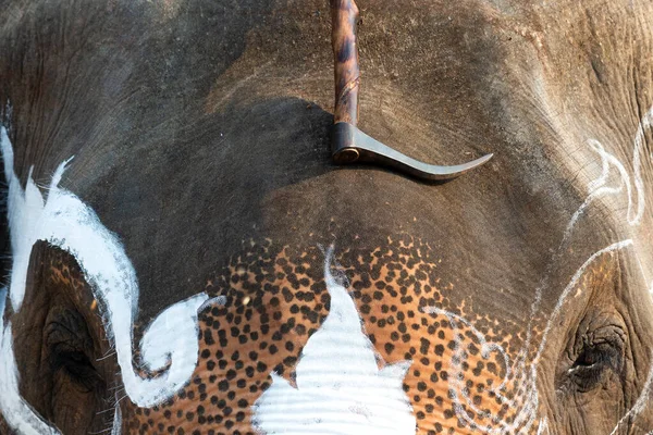 Elefante Pintado Festival Tailândia — Fotografia de Stock