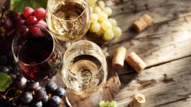 Top view flat lay of red and white wine glasses on wooden table, scattered grapes and corks, blurred background with copy space, warm natural light, elegant beverage concept, realistic style for website or print use.