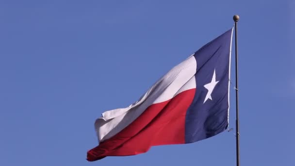 Vlag van texas — Stockvideo