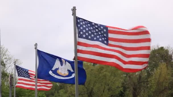 Bandeiras dos EUA e do estado da Louisiana — Vídeo de Stock